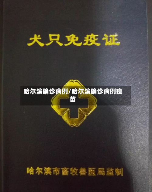 哈尔滨确诊病例/哈尔滨确诊病例疫苗-第2张图片