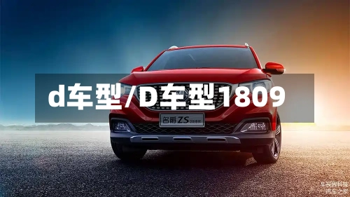d车型/D车型1809-第3张图片