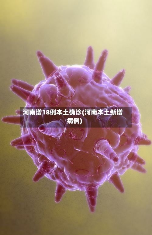 河南增18例本土确诊(河南本土新增病例)-第2张图片