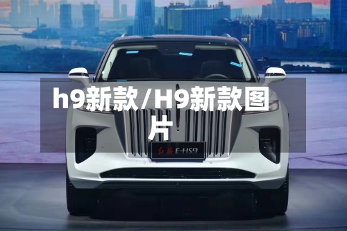 h9新款/H9新款图片