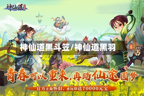 神仙道黑斗笠/神仙道黑羽-第2张图片