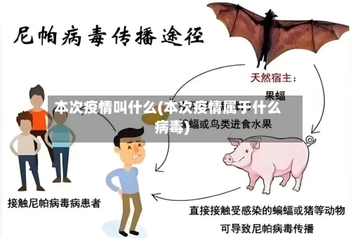 本次疫情叫什么(本次疫情属于什么病毒)-第2张图片