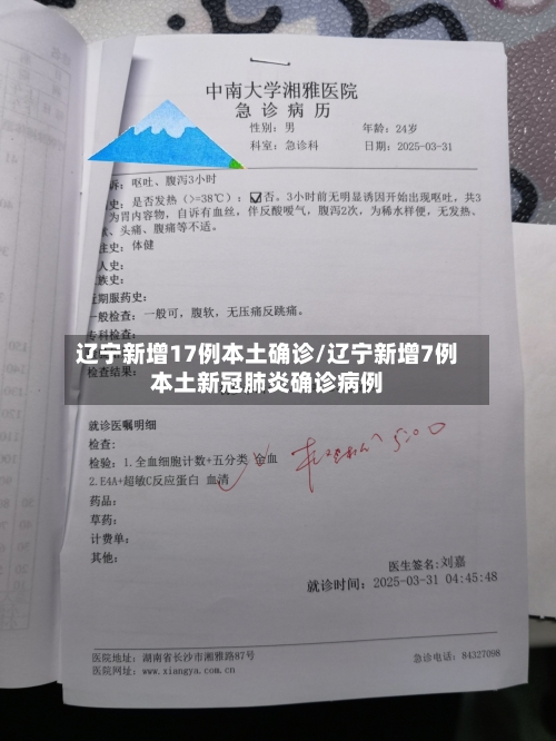 辽宁新增17例本土确诊/辽宁新增7例本土新冠肺炎确诊病例