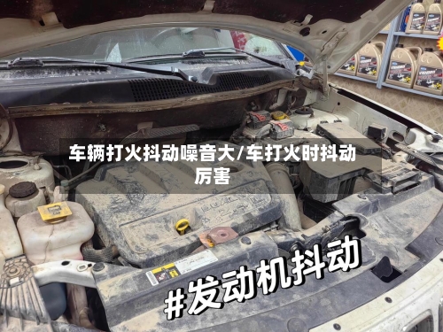 车辆打火抖动噪音大/车打火时抖动厉害