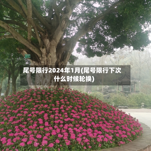 尾号限行2024年1月(尾号限行下次什么时候轮换)