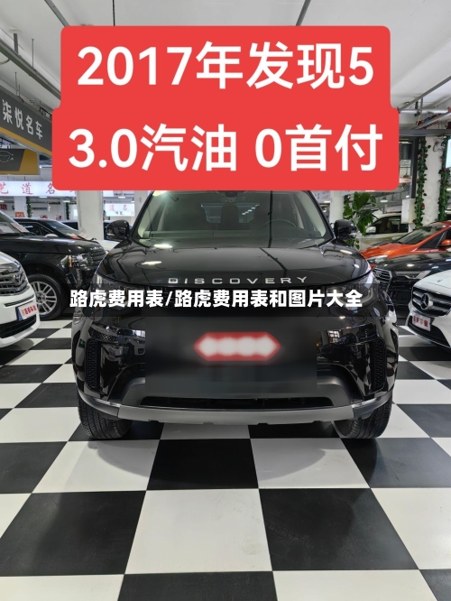 路虎费用表/路虎费用表和图片大全-第2张图片