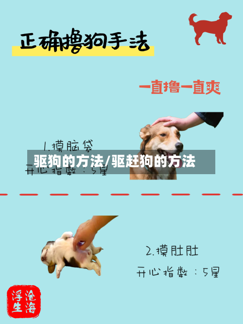 驱狗的方法/驱赶狗的方法