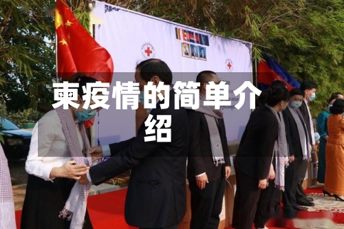 柬疫情的简单介绍