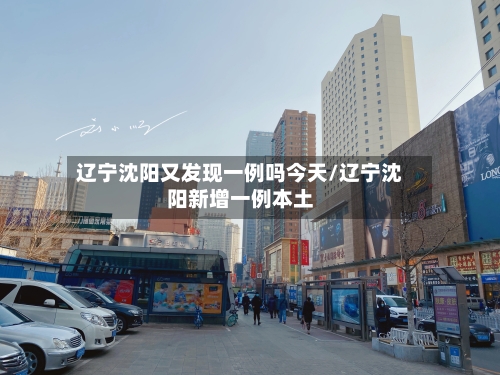 辽宁沈阳又发现一例吗今天/辽宁沈阳新增一例本土-第2张图片