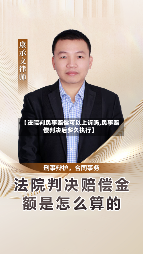 【法院判民事赔偿可以上诉吗,民事赔偿判决后多久执行】-第2张图片