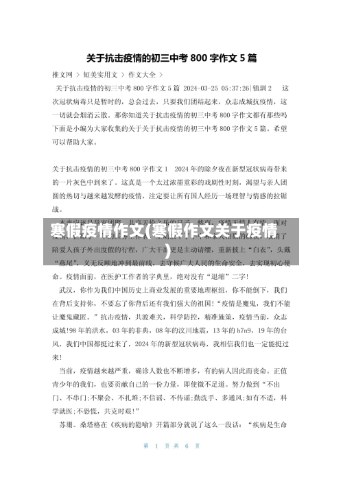 寒假疫情作文(寒假作文关于疫情)-第2张图片