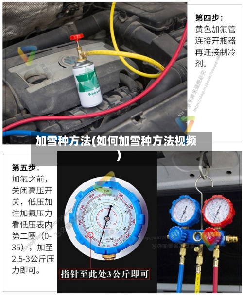 加雪种方法(如何加雪种方法视频)