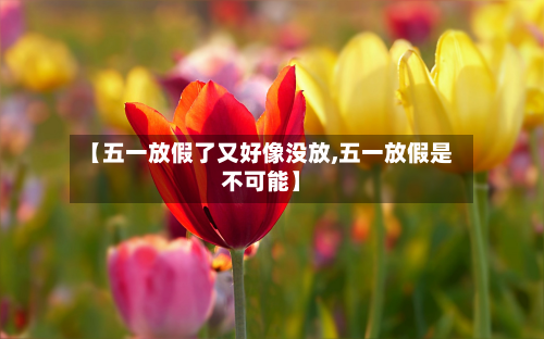 【五一放假了又好像没放,五一放假是不可能】-第3张图片