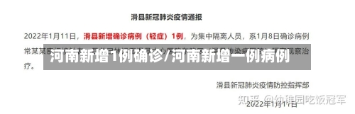 河南新增1例确诊/河南新增一例病例