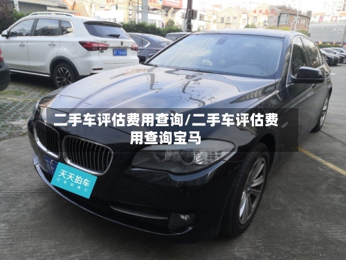 二手车评估费用查询/二手车评估费用查询宝马-第2张图片