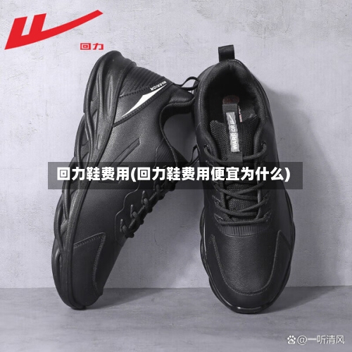 回力鞋费用(回力鞋费用便宜为什么)