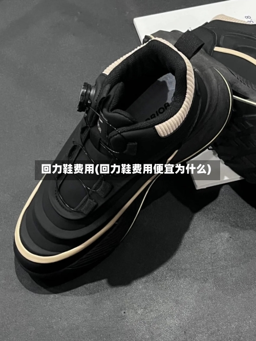 回力鞋费用(回力鞋费用便宜为什么)-第2张图片