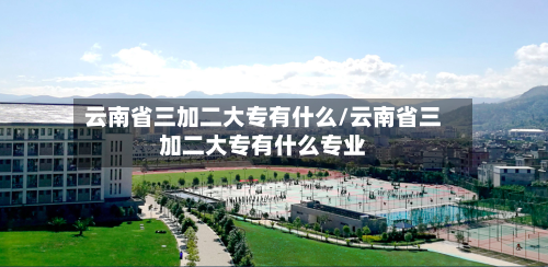 云南省三加二大专有什么/云南省三加二大专有什么专业