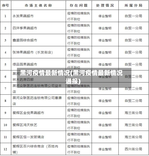 黑河疫情最新情况(黑河疫情最新情况通报)-第2张图片