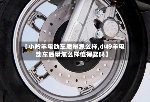 【小羚羊电动车质量怎么样,小羚羊电动车质量怎么样值得买吗】-第2张图片