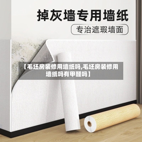 【毛坯房装修用墙纸吗,毛坯房装修用墙纸吗有甲醛吗】-第2张图片