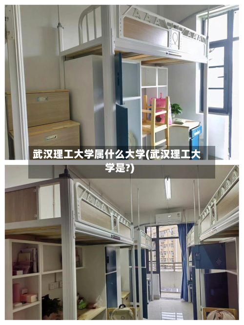 武汉理工大学属什么大学(武汉理工大学是?)-第3张图片