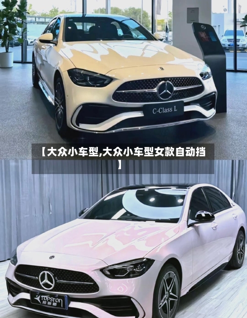 【大众小车型,大众小车型女款自动挡】