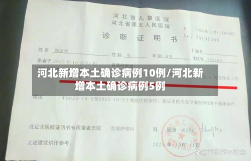 河北新增本土确诊病例10例/河北新增本土确诊病例5例-第3张图片