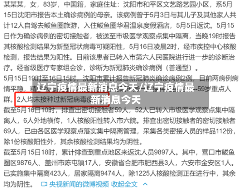 辽宁疫情最新消息今天/辽宁疫情最新消息今天-第2张图片