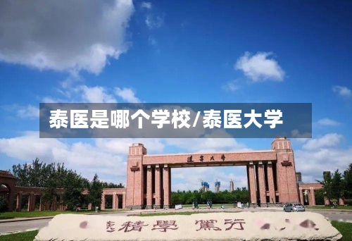 泰医是哪个学校/泰医大学