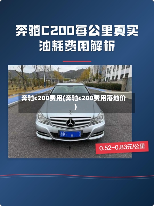 奔驰c200费用(奔驰c200费用落地价)-第2张图片