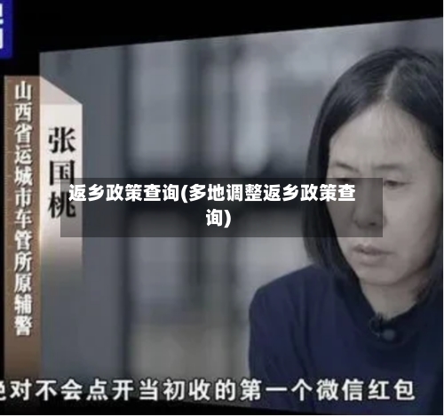 返乡政策查询(多地调整返乡政策查询)