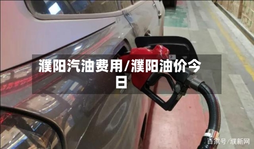 濮阳汽油费用/濮阳油价今日