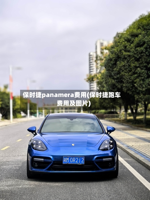 保时捷panamera费用(保时捷跑车费用及图片)