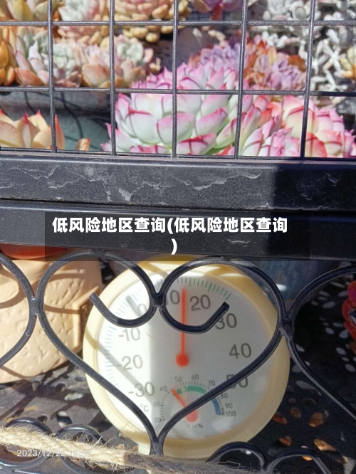 低风险地区查询(低风险地区查询)
