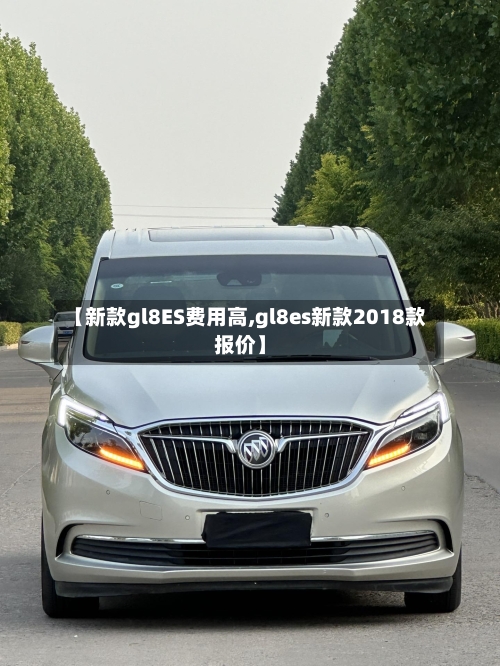 【新款gl8ES费用高,gl8es新款2018款报价】-第2张图片