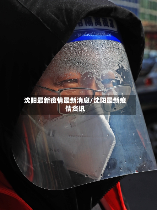 沈阳最新疫情最新消息/沈阳最新疫情资讯-第2张图片