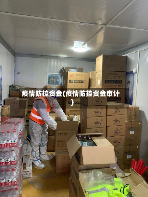 疫情防控资金(疫情防控资金审计)