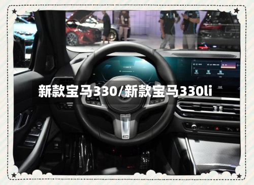 新款宝马330/新款宝马330li-第2张图片