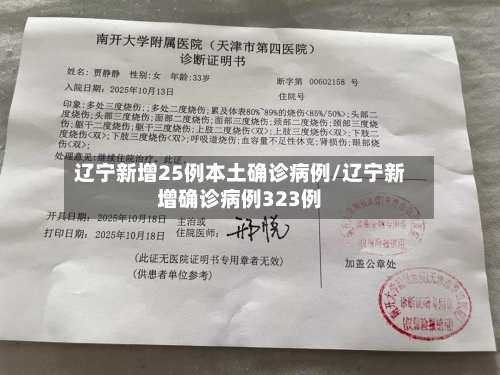 辽宁新增25例本土确诊病例/辽宁新增确诊病例323例-第2张图片