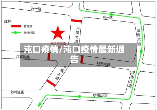 沌口疫情/沌口疫情最新通告
