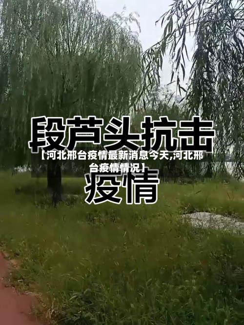 【河北邢台疫情最新消息今天,河北邢台疫情情况】