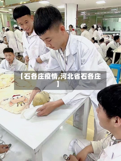 【石各庄疫情,河北省石各庄】