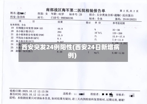 西安突发24例阳性(西安24日新增病例)