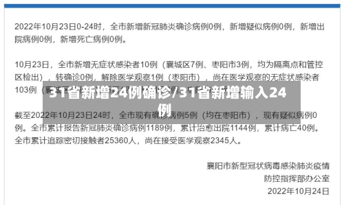 31省新增24例确诊/31省新增输入24例