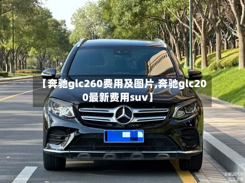 【奔驰glc260费用及图片,奔驰glc200最新费用suv】