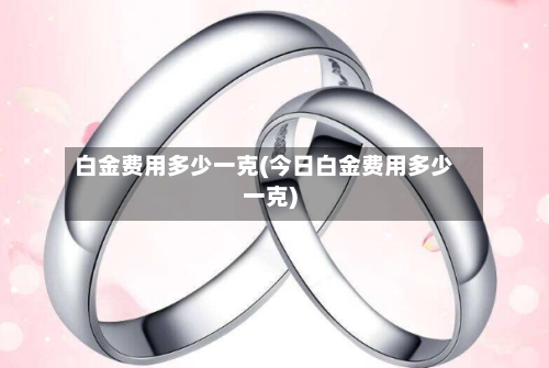白金费用多少一克(今日白金费用多少一克)-第2张图片