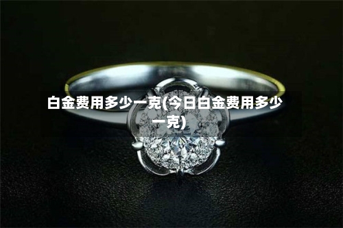 白金费用多少一克(今日白金费用多少一克)-第3张图片