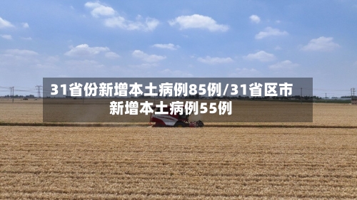 31省份新增本土病例85例/31省区市新增本土病例55例