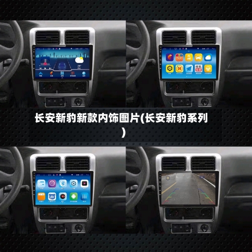 长安新豹新款内饰图片(长安新豹系列)
